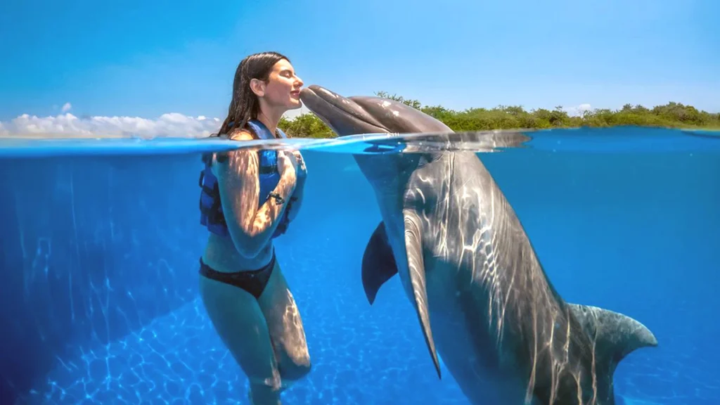 Woman wearing a blue life vest receiving a kiss from a bottlenose dolphin in the water at Dolphin Adventure in Nuevo Vallarta.