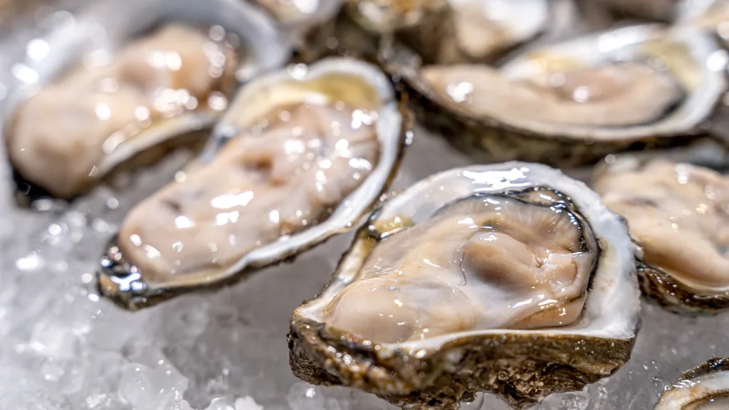 Fresh oysters at Escamar Raw Bar by Itamar in Puerto Vallarta