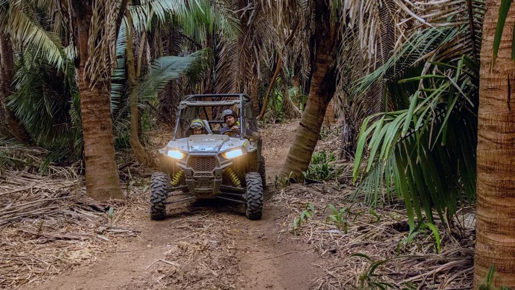Two people riding a Polaris UTV along a narrow dirt trail surrounded by tropical palm trees during an off-road adventure near Sayulita, Riviera Nayarit.