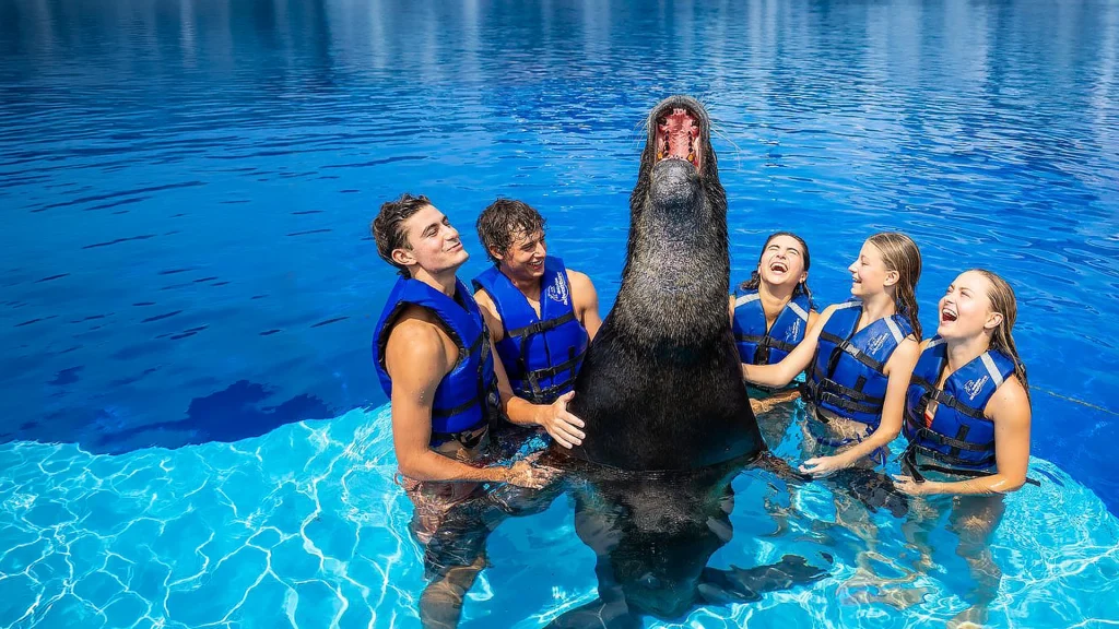 Five guests in blue life jackets laughing around a sea lion rising from a swimming pool with its mouth open.