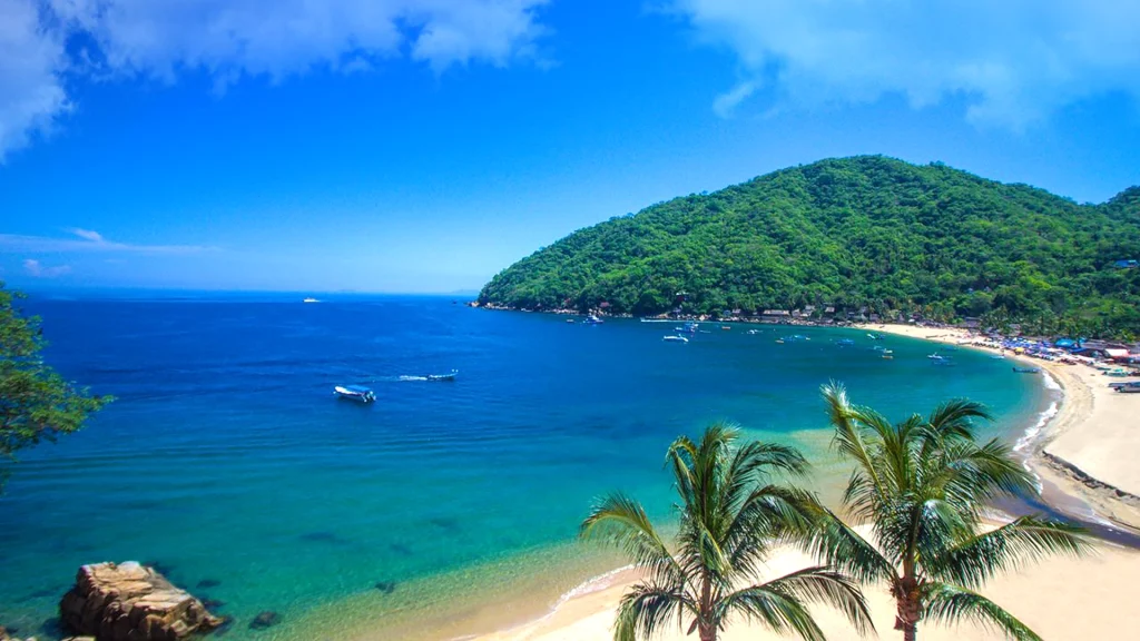 Tropical bay with turquoise water and palm-lined beach near Puerto Vallarta